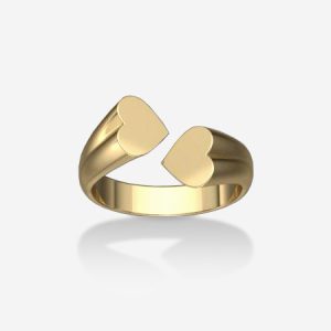 טבעת צינור לב