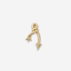 עגיל נוטס קטן