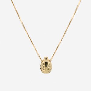 שרשרת ליידיבאג