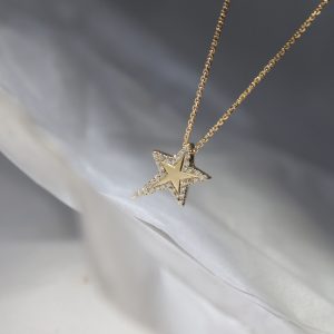 כוכב א-סימטרי L