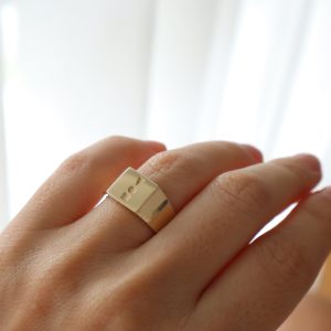 טבעת חותם לוגו