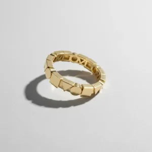 טבעת האלמנטים Balance Core Ring