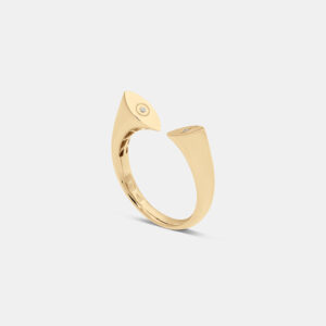 טבעת עיניים צינור